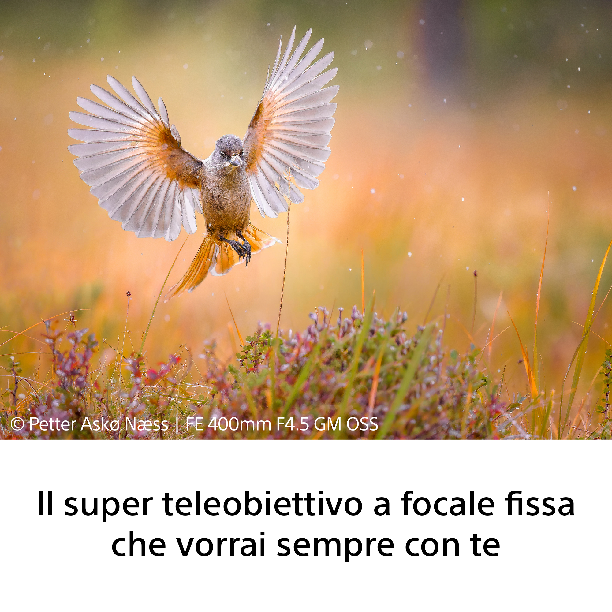 Sony FE 400mm f/4.5 GM OSS - Garanzia Sony Italia - immagine 4