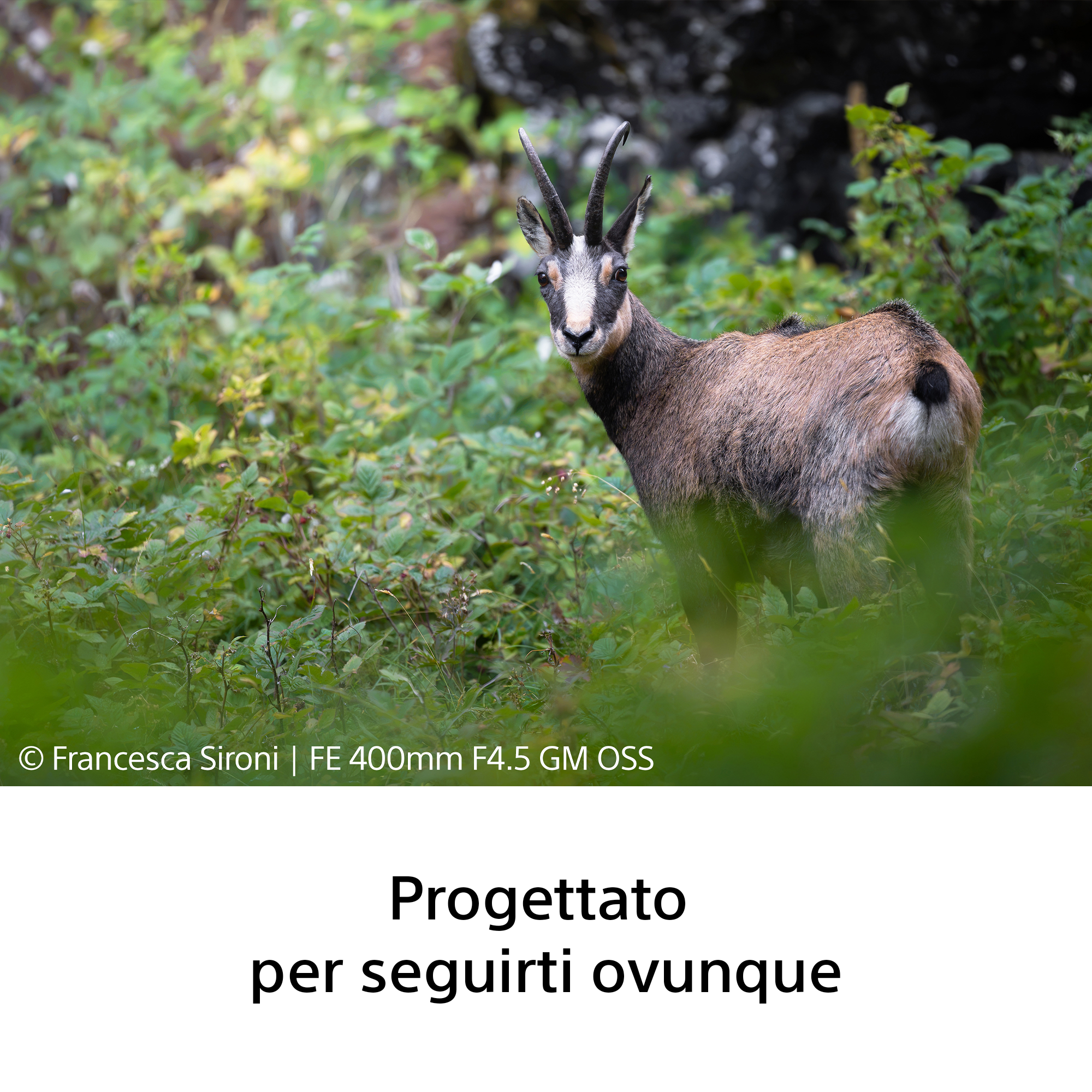 Sony FE 400mm f/4.5 GM OSS - Garanzia Sony Italia - immagine 3